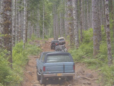 1994 Ford Explorer - A line of SUVs navigates a rough, rocky trail through a dense forest.
