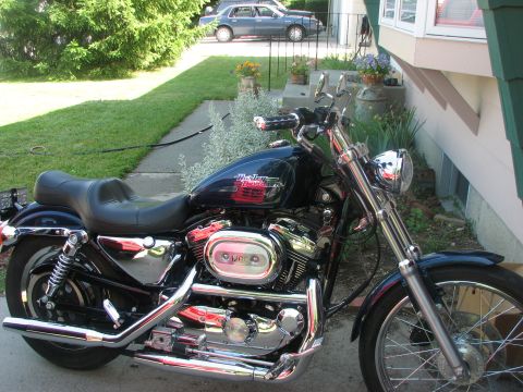 2001 Harley-Davidson Sportster Custom - with the new drag bars and Kuryakyn grips