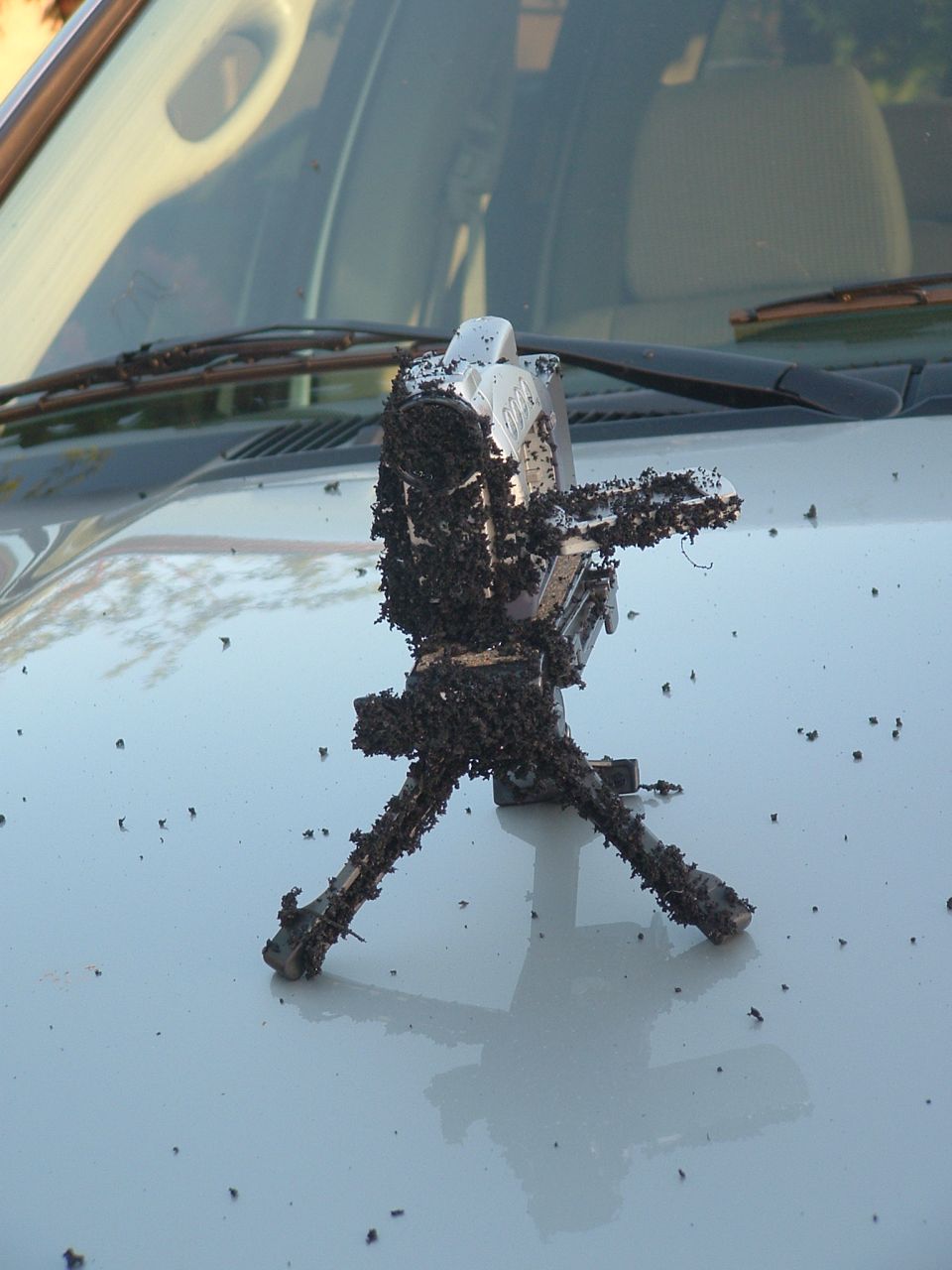 Camera on tripod covered in dead insects on a white car hood