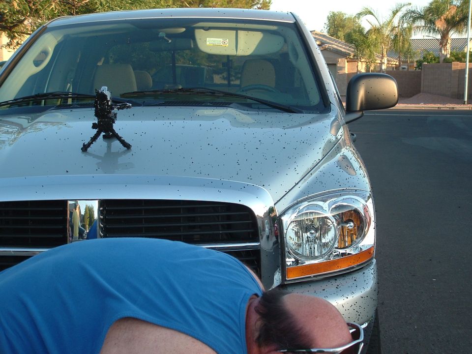 Silver pickup truck front end with a person bending over in front of the grille. A small tripod with a camera is on the hood