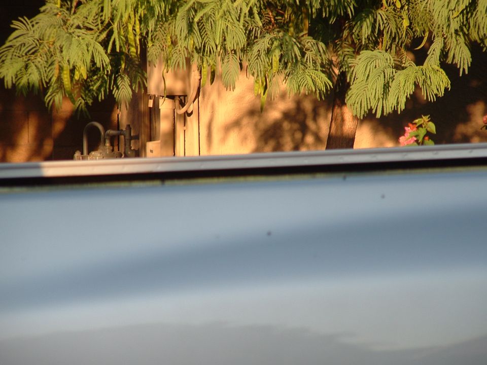 Close-up of a white vehicle's side panel with a blurred background of trees and a fence