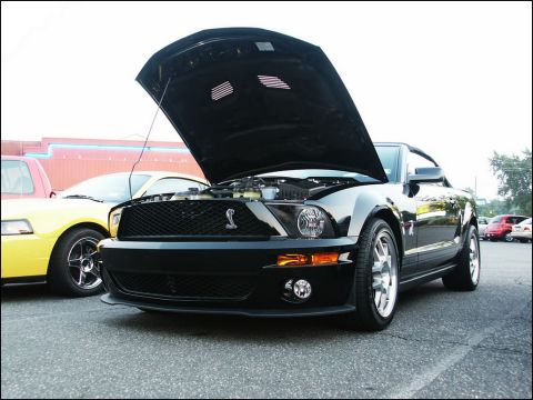 2001 Mercury Grand Marquis - A black 2007 Ford Mustang Shelby GT500 is displayed with its hood open, revealing the engine bay.