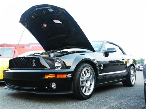 2001 Mercury Grand Marquis - A black convertible sports car, identified as a GT500, is parked with its hood open.