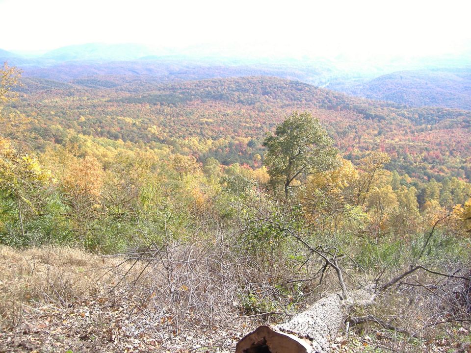 view of colorful autumn trees on rolling hills