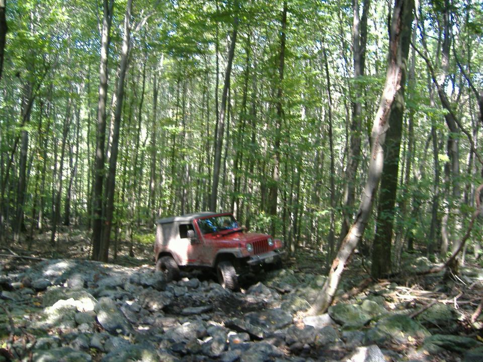 Red 2003 Jeep Wrangler navigating a boulder-strewn forest path, front-right quarter view