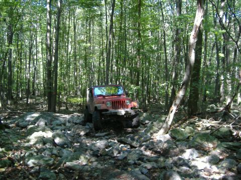 2003 Jeep Wrangler