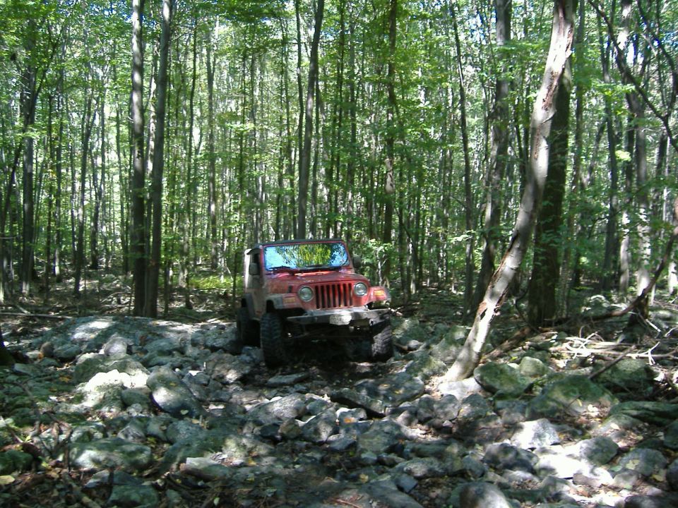 Red 2003 Jeep Wrangler navigating a rocky forest trail