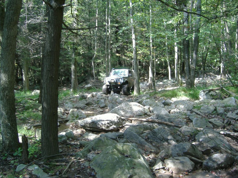 Off-road vehicle with large tires navigating a rocky, wooded trail