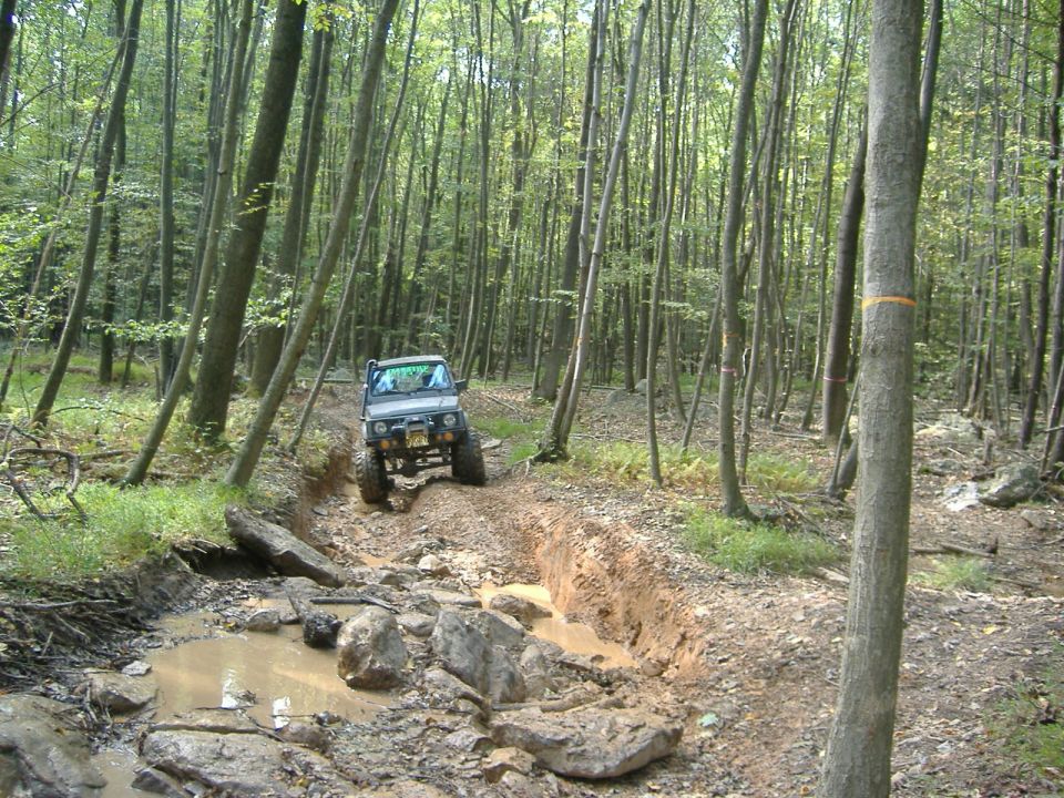 Off-road vehicle driving through a muddy, rocky trail in a dense forest