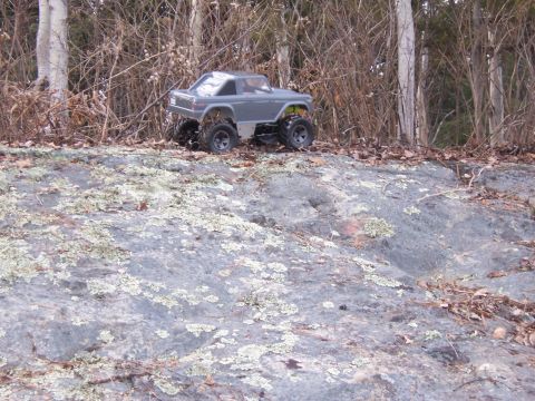 1996 Ford Bronco - A gray remote control truck is positioned on a lichen-covered rock formation, surrounded by bare trees.