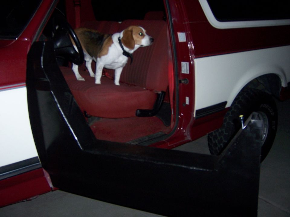 Beagle dog standing on the red seat inside a red and white vehicle with the door open