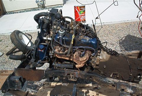 1982 Toyota 4Runner “Rabid Squirrel”
