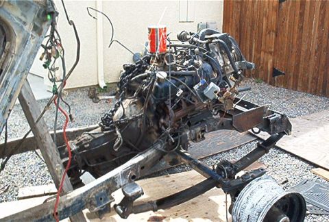 1982 Toyota 4Runner “Rabid Squirrel”