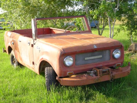 International Scout