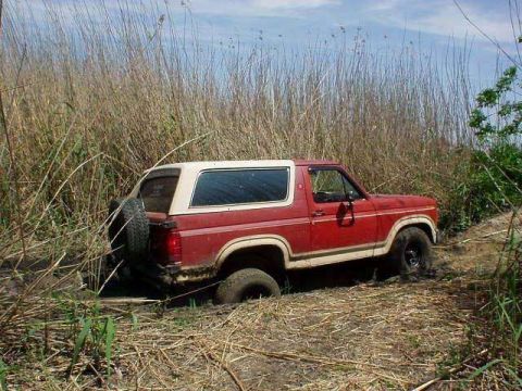 1986 Ford Bronco - Holly Beach Pre CAT paint Job