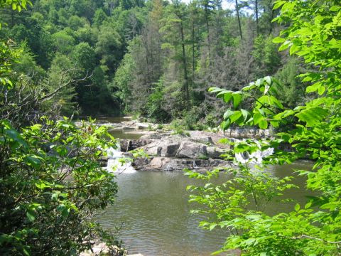 1985 Ford LTD Crown Victoria - A waterfall flows through a rocky riverbed, surrounded by dense green trees and foliage.