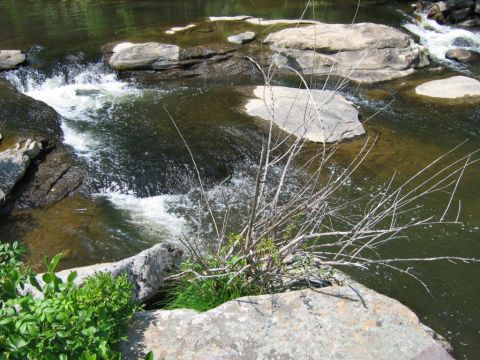 1985 Ford LTD Crown Victoria - A natural scene of a river flowing over rocks, with vegetation on the bank.