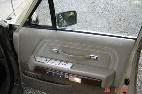 1989 Ford Crown Victoria LTD - Old door panel