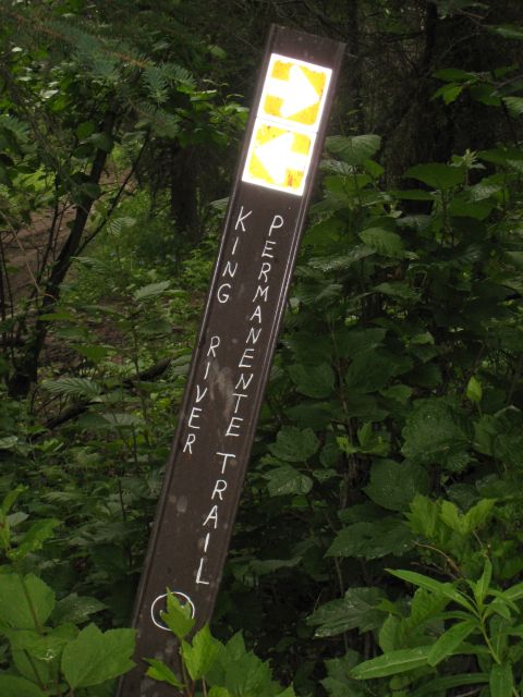 2000 Ford E350 - A trail marker sign indicates the King River Permanente Trail in a wooded area.