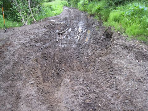 2000 Ford E350 - A challenging muddy trail with deep ruts and tire tracks suggests difficult off-road conditions.