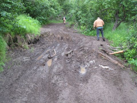 2000 Ford E350 - Two men navigate a treacherous, muddy off-road path through a wooded area.