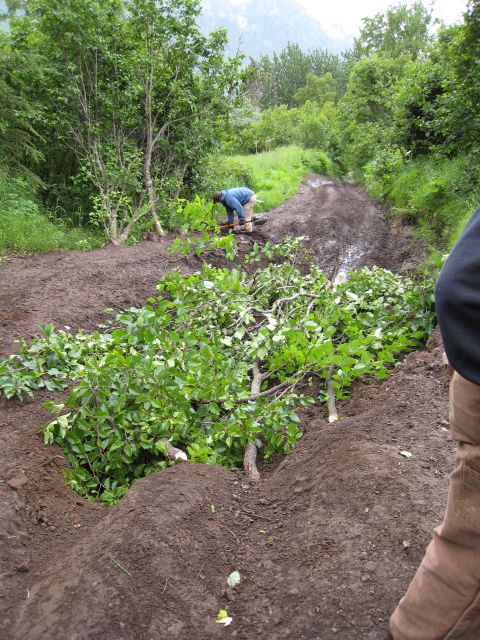 2000 Ford E350 - A person works on clearing a muddy path obstructed by fallen branches in a wooded area.