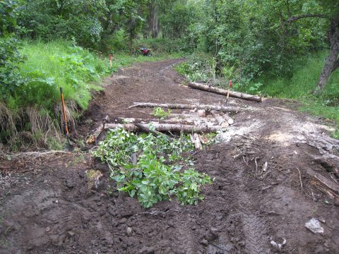 2000 Ford E350 - An ATV is visible on a muddy, obstacle-filled off-road trail.