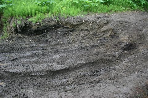2003 Jeep TJ - Tire tracks mark a path through muddy terrain with overgrown grass and plants.