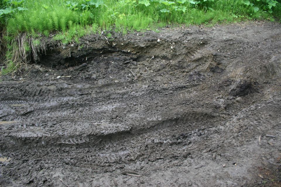 Muddy ground with deep tire tracks and vegetation on the left