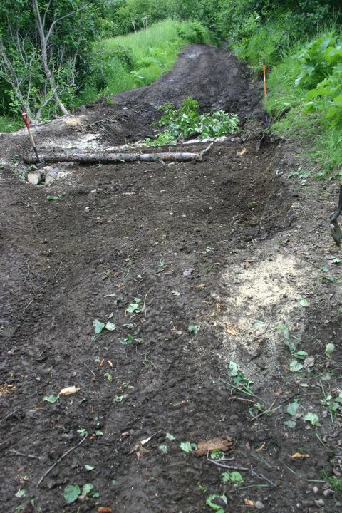 2003 Jeep TJ - A rough dirt path, recently cleared of debris, winds through a wooded area.