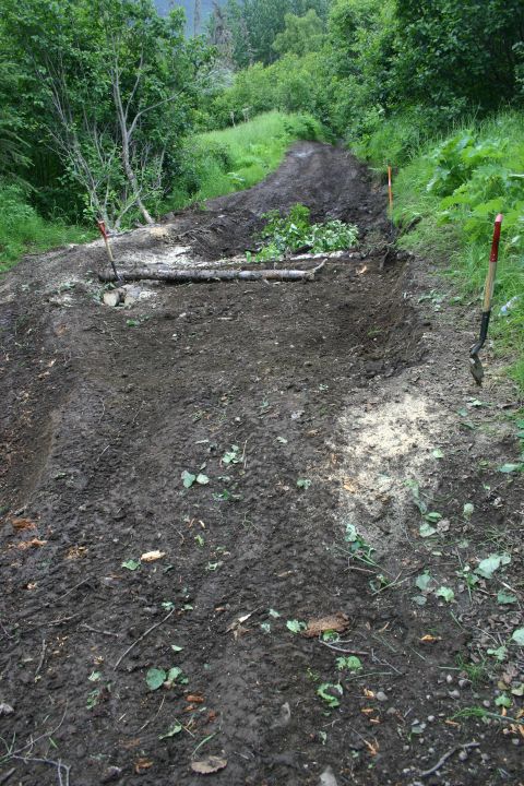 2003 Jeep TJ - A muddy trail is being repaired with logs and shovels on a wooded slope, suggesting recent work.