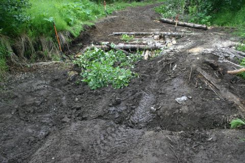 2003 Jeep TJ - A muddy off-road path shows signs of recent work, with logs and debris scattered across it.