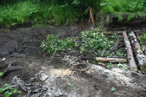2003 Jeep TJ - Ground cleared with logs and branches scattered, suggesting recent work.