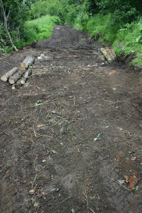 2003 Jeep TJ - A muddy trail is being repaired with logs placed on the sides.