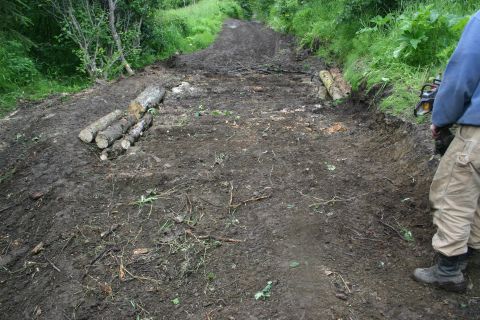 2003 Jeep TJ - A person stands with a chainsaw beside a muddy, uneven path in a wooded area.