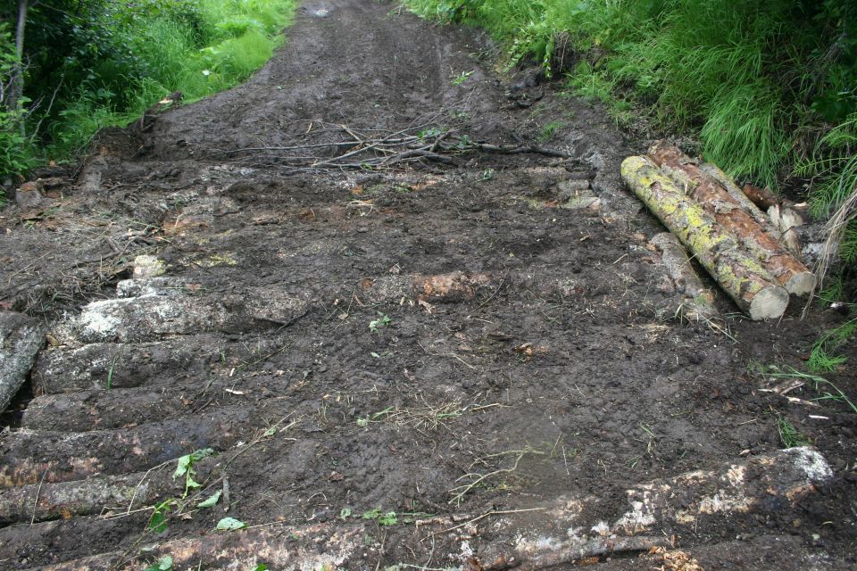 Muddy trail with logs and a makeshift bridge made of logs