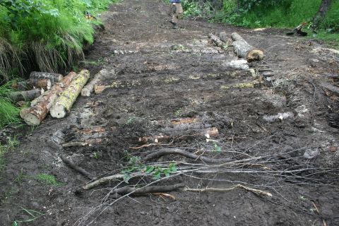 2003 Jeep TJ - A muddy trail is obstructed by fallen logs and branches, suggesting recent clearing or damage.