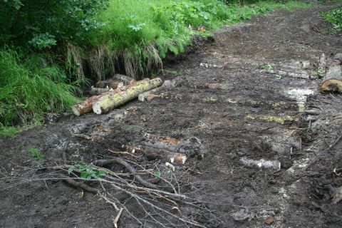2003 Jeep TJ - A scene of a muddy trail with logs and debris, suggesting recent work or damage.