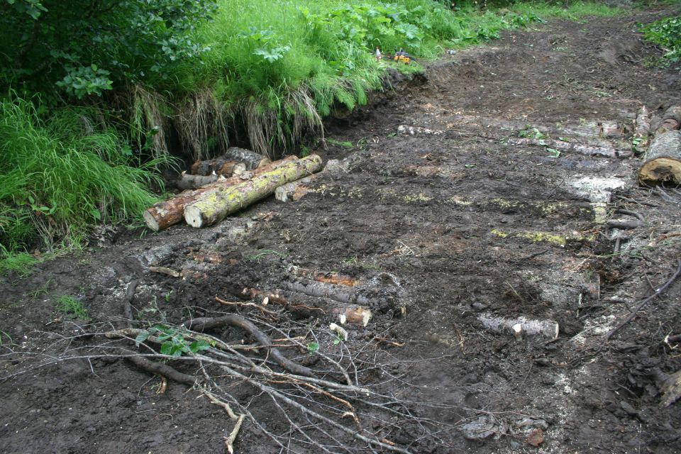 Muddy ground with cut logs and branches near grassy embankment