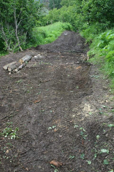 2003 Jeep TJ - A muddy trail with visible tire tracks and a pile of logs on the side, suggesting recent activity or repair.