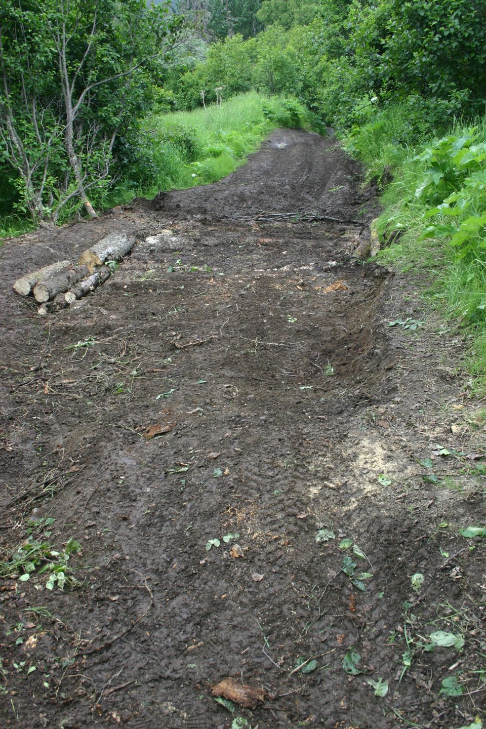 Muddy trail with tire tracks and logs