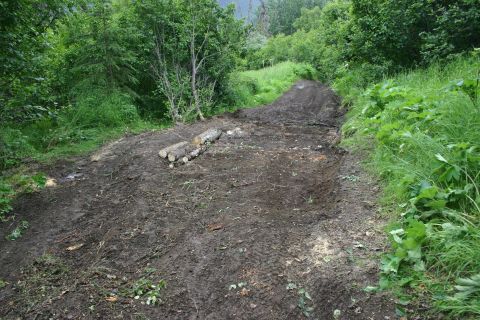 2003 Jeep TJ - A muddy trail winds through a wooded area, with logs placed alongside the path.