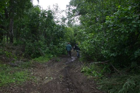 2003 Jeep TJ - Two individuals traverse a wet, muddy path winding through a thick forest with overhanging trees.