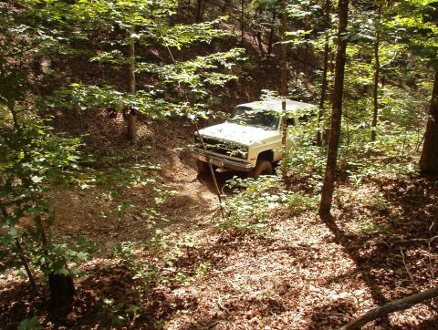 1983 Ford Bronco - A white SUV navigates a wooded trail, surrounded by lush green foliage and fallen leaves.