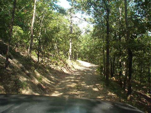 1983 Ford Bronco - Driving down a gravel road surrounded by trees on a sunny day.