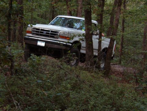 1983 Ford Bronco - This white Ford F-150 truck is seen off-road, surrounded by trees.