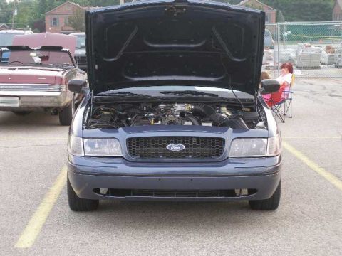 1998 Ford Crown Victoria - Note the newly installed tinted headlamps and corner lamps.
