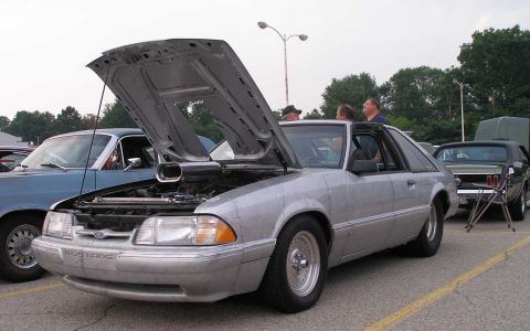 1998 Ford Crown Victoria - Note the unique paintjob.