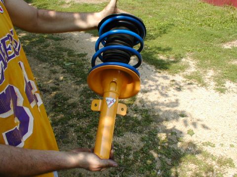 1998 Ford Contour - Shock/strut Assembly