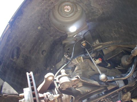 1998 Ford Contour photo